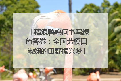 稻浪鸭鸣间书写绿色答卷：全国劳模田淑娴的田野振兴梦