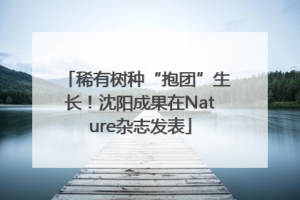 稀有树种“抱团”生长！沈阳成果在Nature杂志发表
