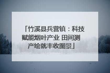 竹溪县兵营镇：科技赋能烟叶产业 田间测产绘就丰收图景