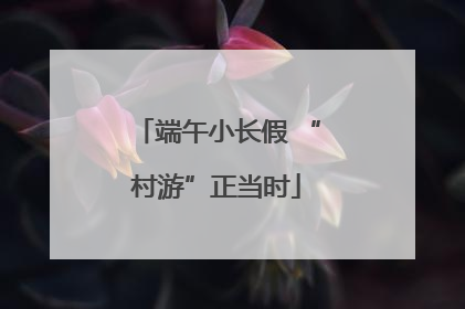 端午小长假 “村游”正当时