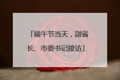 端午节当天，副省长、市委书记接访