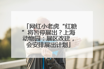 网红小老虎“红糖”将暂停展出？上海动物园：展区改建，会安排展出计划
