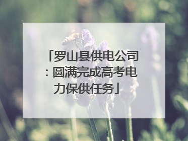 罗山县供电公司：圆满完成高考电力保供任务