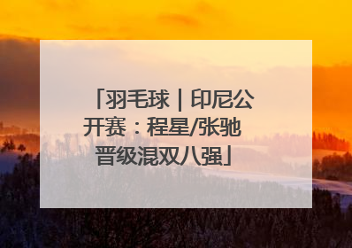 羽毛球｜印尼公开赛：程星/张驰晋级混双八强