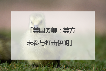 美国务卿：美方未参与打击伊朗