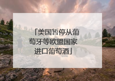 美国暂停从葡萄牙等欧盟国家进口葡萄酒