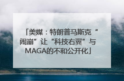 美媒：特朗普马斯克“闹崩”让“科技右翼”与MAGA的不和公开化