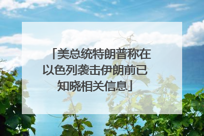 美总统特朗普称在以色列袭击伊朗前已知晓相关信息