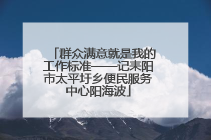 群众满意就是我的工作标准——记耒阳市太平圩乡便民服务中心阳海波