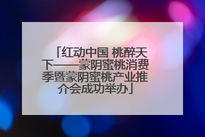 红动中国 桃醉天下——蒙阴蜜桃消费季暨蒙阴蜜桃产业推介会成功举办