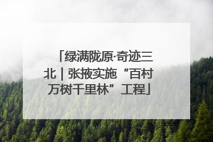 绿满陇原·奇迹三北｜张掖实施“百村万树千里林”工程