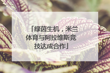 绿茵生机，米兰体育与阿拉维斯竞技达成合作