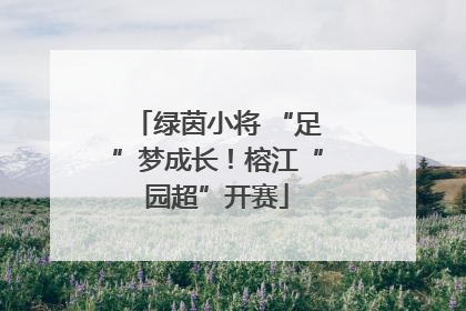 绿茵小将 “足”梦成长！榕江“园超”开赛