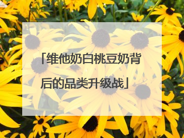 维他奶白桃豆奶背后的品类升级战