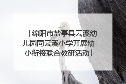 绵阳市盐亭县云溪幼儿园同云溪小学开展幼小衔接联合教研活动