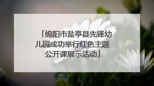 绵阳市盐亭县先锋幼儿园成功举行红色主题公开课展示活动