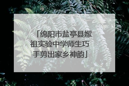 绵阳市盐亭县嫘祖实验中学师生巧手剪出家乡神韵
