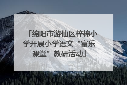 绵阳市游仙区梓棉小学开展小学语文“富乐课堂”教研活动