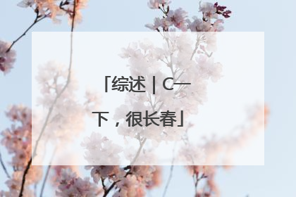 综述｜C一下，很长春