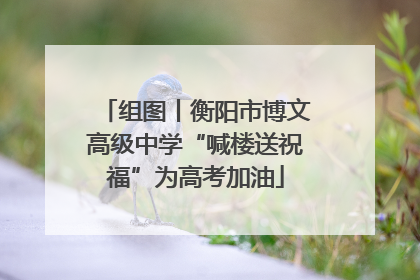 组图丨衡阳市博文高级中学“喊楼送祝福”为高考加油