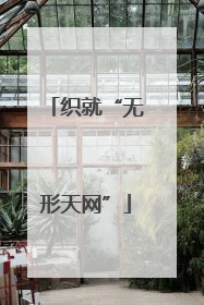 织就“无形天网”
