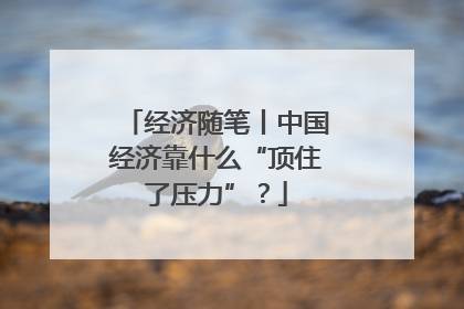 经济随笔丨中国经济靠什么“顶住了压力”？