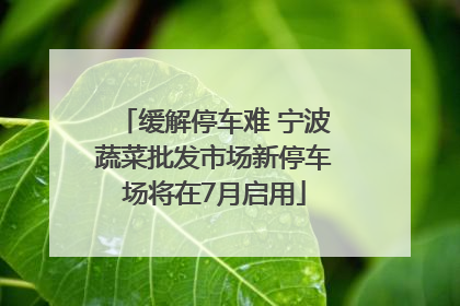 缓解停车难 宁波蔬菜批发市场新停车场将在7月启用