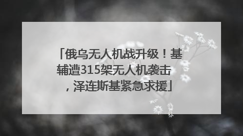 俄乌无人机战升级！基辅遭315架无人机袭击，泽连斯基紧急求援