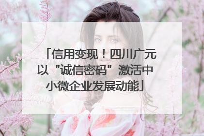 信用变现！四川广元以“诚信密码”激活中小微企业发展动能