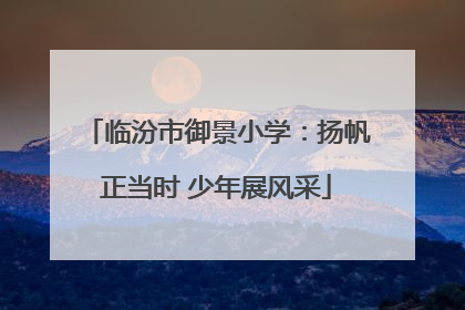 临汾市御景小学：扬帆正当时 少年展风采