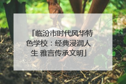 临汾市时代风华特色学校：经典浸润人生 雅言传承文明