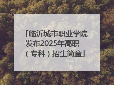 临沂城市职业学院发布2025年高职（专科）招生简章
