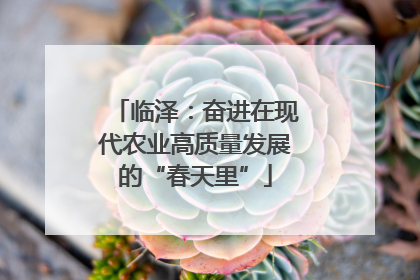 临泽：奋进在现代农业高质量发展的“春天里”
