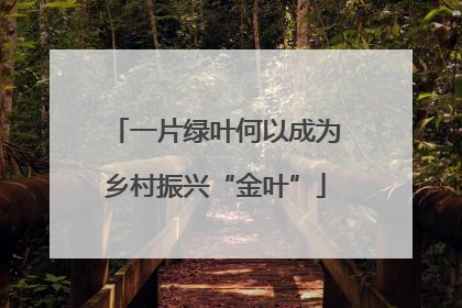 一片绿叶何以成为乡村振兴“金叶”