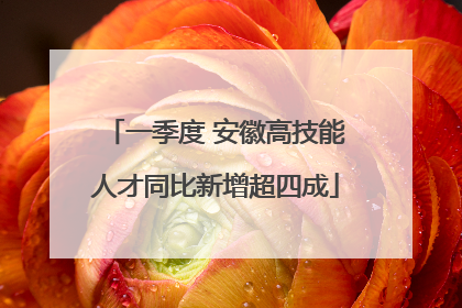 一季度 安徽高技能人才同比新增超四成