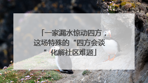 一家漏水惊动四方，这场特殊的“四方会谈”化解社区难题