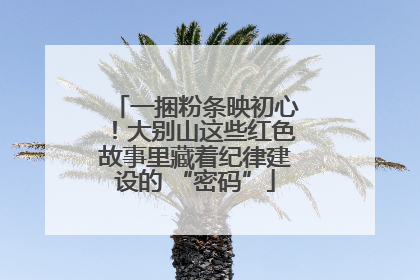 一捆粉条映初心！大别山这些红色故事里藏着纪律建设的 “密码”