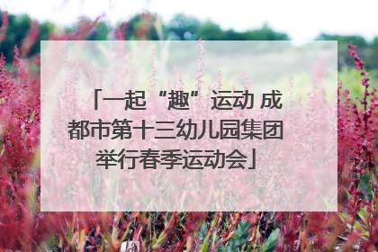 一起“趣”运动 成都市第十三幼儿园集团举行春季运动会