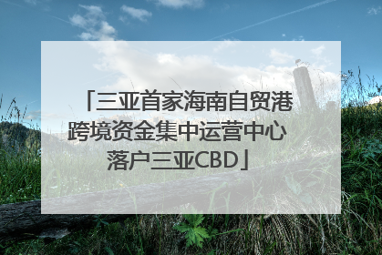 三亚首家海南自贸港跨境资金集中运营中心落户三亚CBD