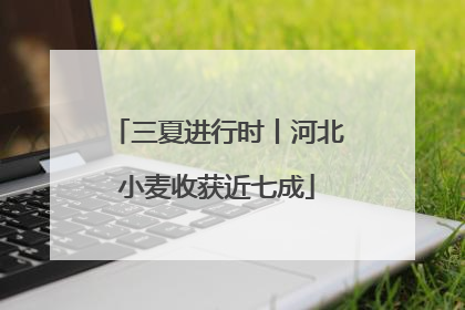 三夏进行时丨河北小麦收获近七成