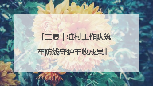 三夏｜驻村工作队筑牢防线守护丰收成果