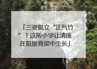 三姿挺立“正气竹”！这所小学让清廉在挺拔脊梁中生长
