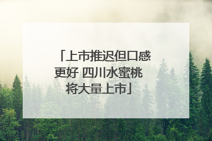 上市推迟但口感更好 四川水蜜桃将大量上市