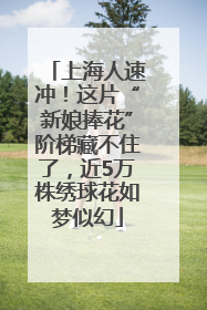 上海人速冲！这片“新娘捧花”阶梯藏不住了，近5万株绣球花如梦似幻