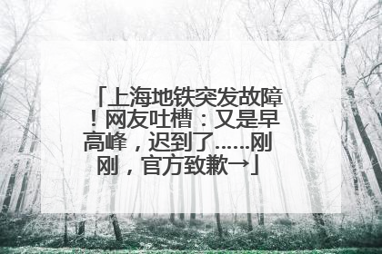 上海地铁突发故障！网友吐槽：又是早高峰，迟到了……刚刚，官方致歉→