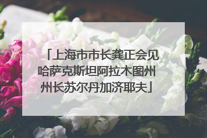 上海市市长龚正会见哈萨克斯坦阿拉木图州州长苏尔丹加济耶夫