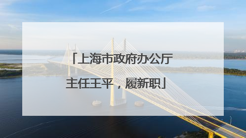 上海市政府办公厅主任王平，履新职