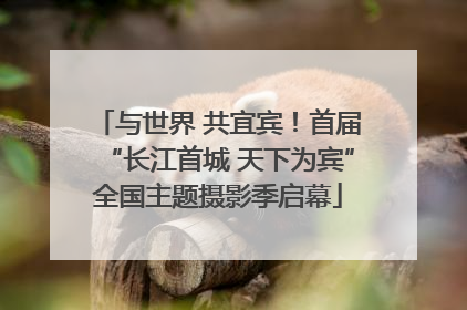 与世界 共宜宾！首届“长江首城 天下为宾”全国主题摄影季启幕