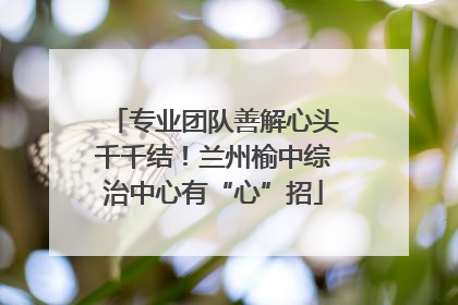 专业团队善解心头千千结！兰州榆中综治中心有“心”招