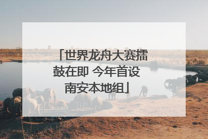 世界龙舟大赛擂鼓在即 今年首设南安本地组